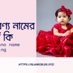 লাবণ্য নামের অর্থ কি - Labonno name meaning